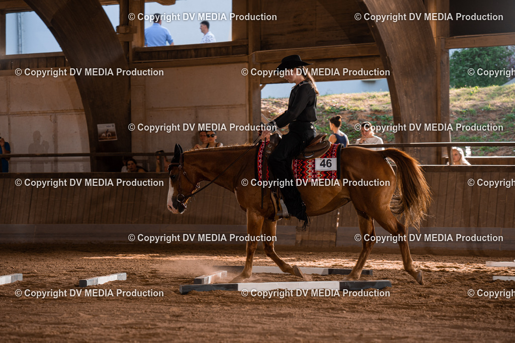 NE101213 | dv-media-shop - Realisiert mit Pictrs.com