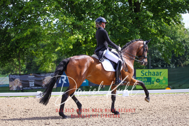 DKP41398 | Turnierfotos kaufen im Webshop von Daniel Kuhl Photography – entdecke professionelle Reitsportfotos aus Turnieren & Events. Hochwertige Turnierbilder online bestellen & sichern. Jetzt Fotos von Reitsportturnieren kaufen!