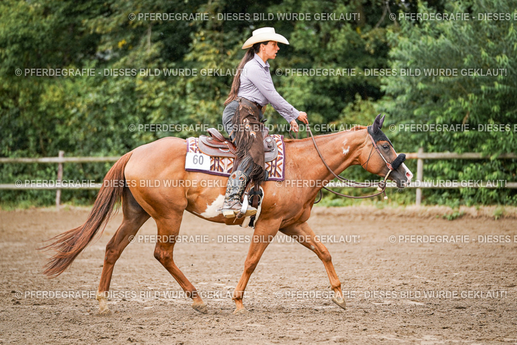 DSC08001 | Pferdegrafie