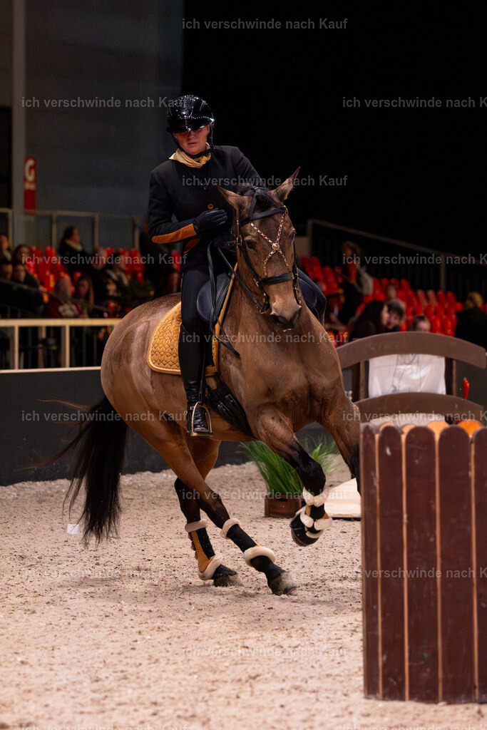 JoseraCup-50 | working equitationturnier fotograf videograf stoibphotography marixx film working equitation deutschland reitsport turnierfotografie eventfotografie equestrian events