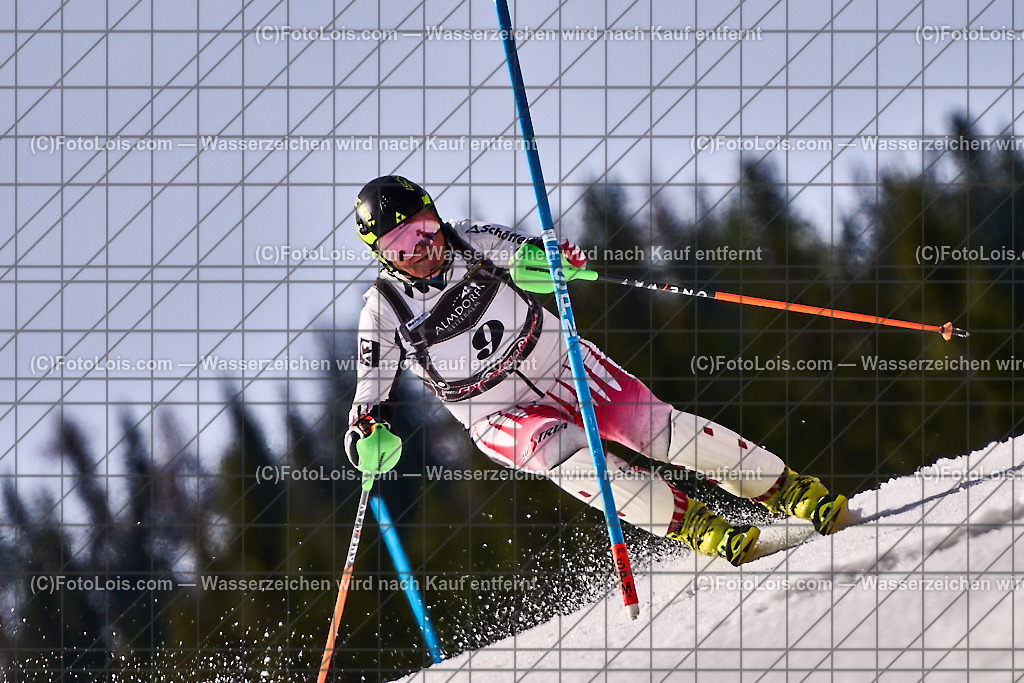 ALP0844_FIS MASTERS WC-Finale_SL_B-Herrn_Leitner Leonhard | (C)FotoLois.com, Alois Spandl. FIS MASTERS WorldCup-Finale 2024, Reiteralm (Steiermark, AUT), SLALOM auf der Muldenliftpiste, Sa 6. April 2024.