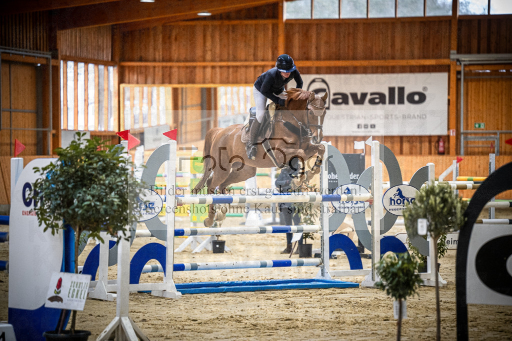 DOS_0486 | Entdecke hochwertige Reitturnierfotos von Foto Oger. Professionell, emotional und authentisch – jetzt Lieblingsmomente im Shop bestellen.Deutschlandweite Turnierfotografie. - Realisiert mit Pictrs.com