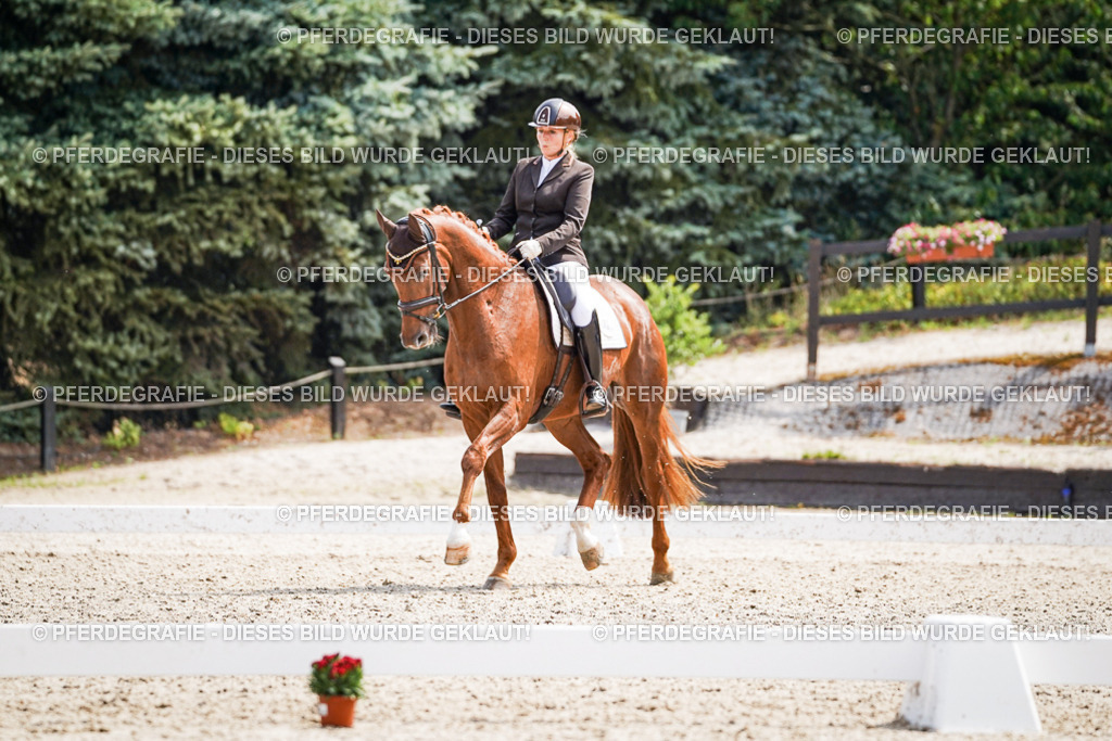 DSC09849 | Pferdegrafie