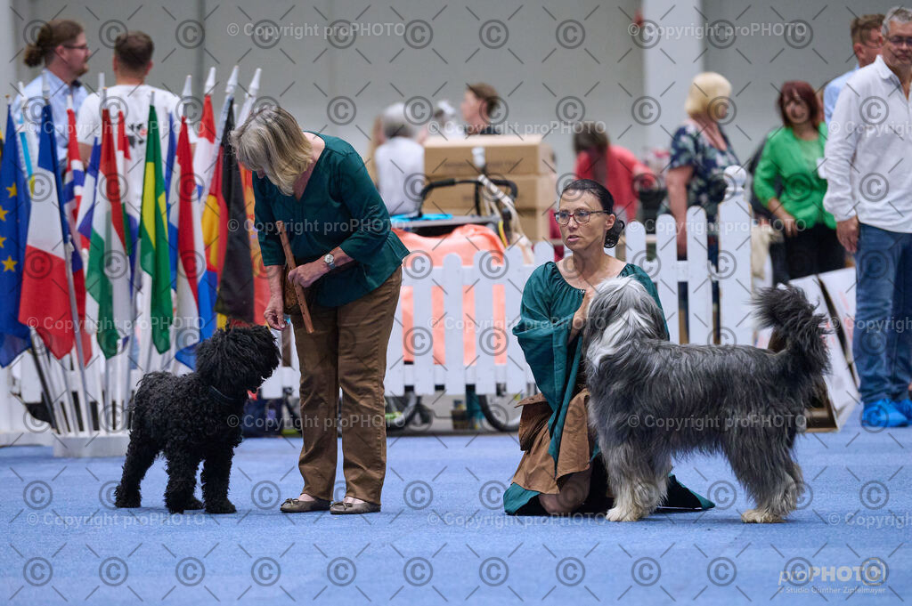 202406_ÖKV-IHA-Tulln24_DSC_3274 | proPHOTO - Realisiert mit Pictrs.com