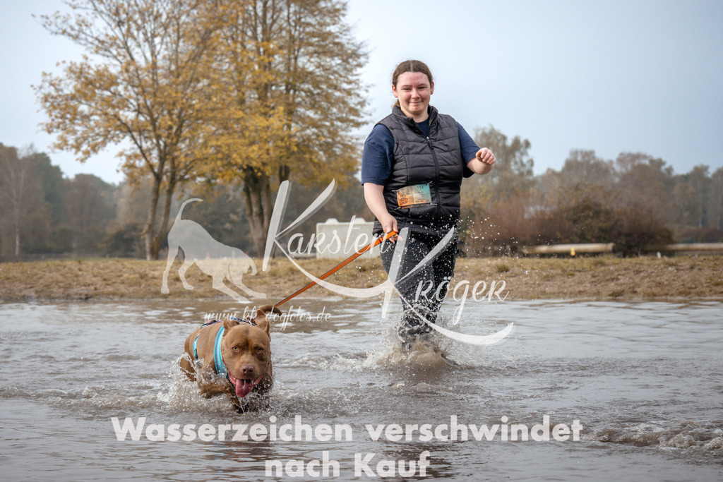 1114_ZZ93444 | kk-dogfotos