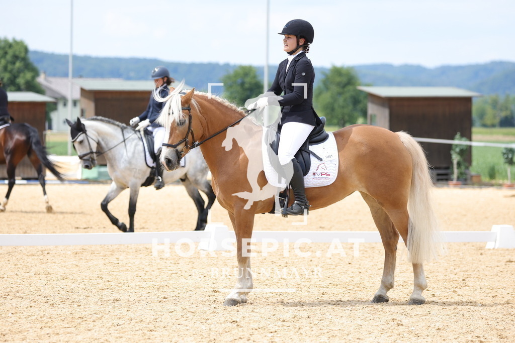 0P6A8599 | Willkommen bei Brunnmayr - Design & Fotografie – Ihrem Spezialisten für Reitturniere und Pferdeveranstaltungen in Oberösterreich, Salzburg und Bayern! Seit über 17 Jahren sind wir leidenschaftlich dabei.