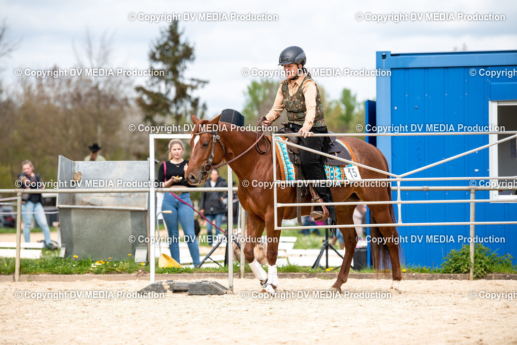 Heiligenwald Tag 1-788 | dv-media-shop - Realisiert mit Pictrs.com