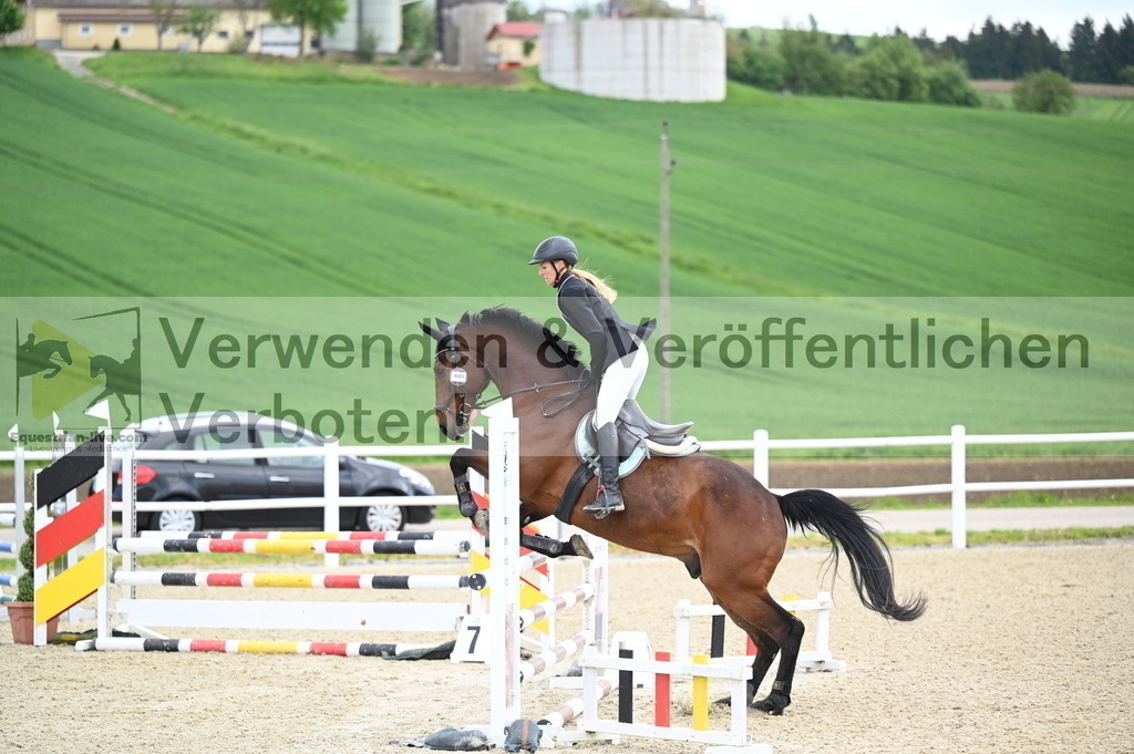 DSC_0684 | equestrian-live-com