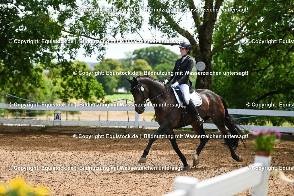 20230716_03_Dressurprfg. Kl.L - Tr._0564 | equistock