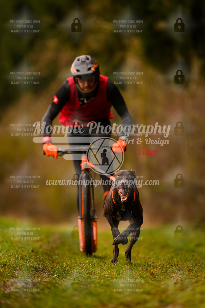MompixPhotography_2SSTSSBW_2025_SO_Scooter-1 | PayLife
