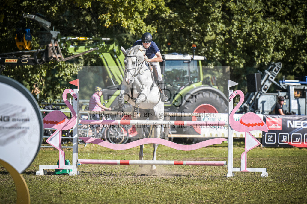 DOS_0738 | Entdecke hochwertige Reitturnierfotos von Foto Oger. Professionell, emotional und authentisch – jetzt Lieblingsmomente im Shop bestellen.Deutschlandweite Turnierfotografie. - Realisiert mit Pictrs.com