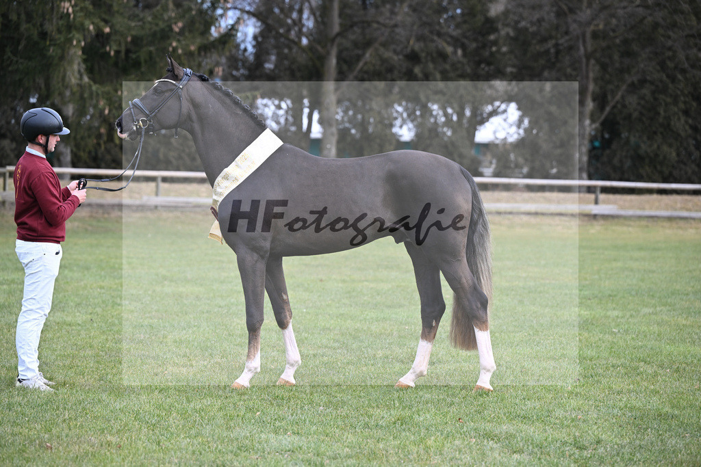 Kat.-Nr. 45 v. Bonds_Schafhof_2252180 | hf-fotografie - Realisiert mit Pictrs.com