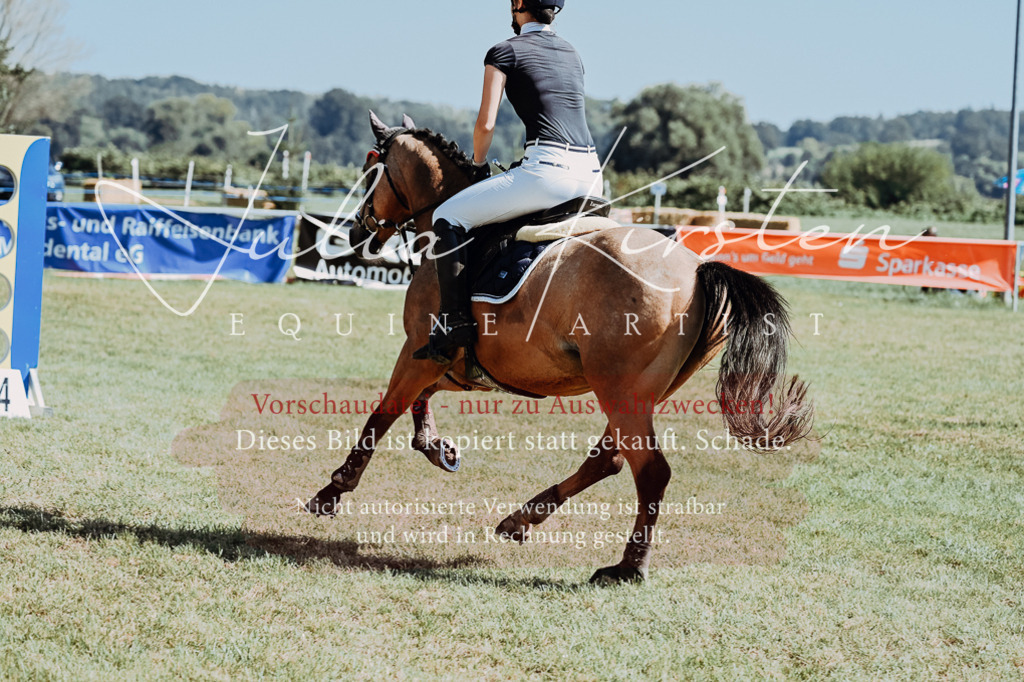 DSC_6031 | Pferde- und Turnierfotografie in Westsachsen. Pferdeportraits, Auftragszeichnungen und intuitive Kunst.