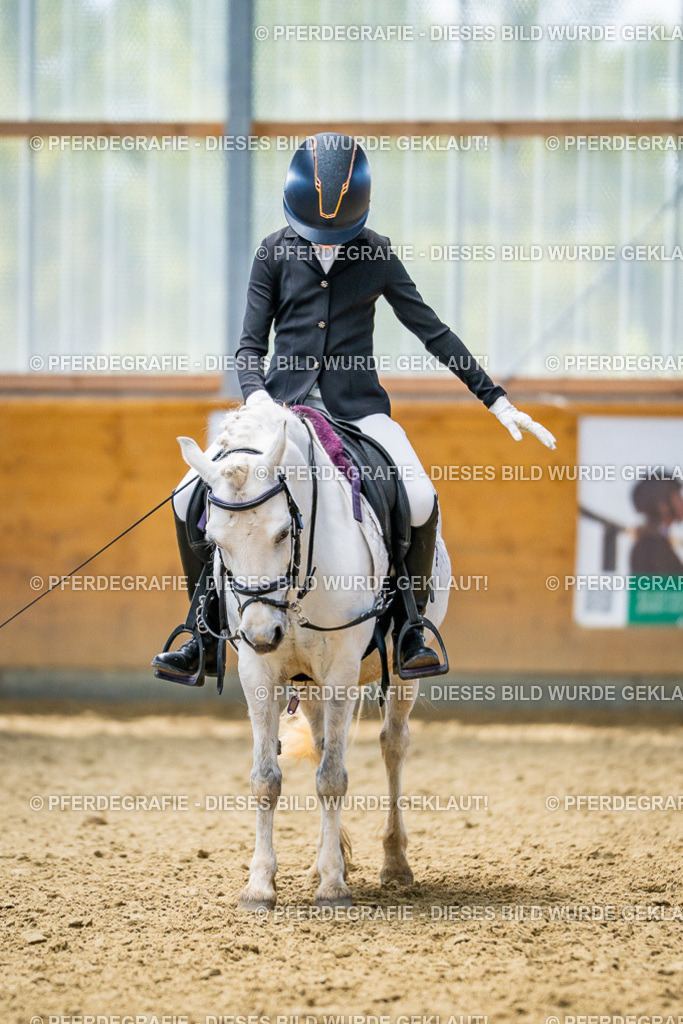 DSC05058 | Pferdegrafie