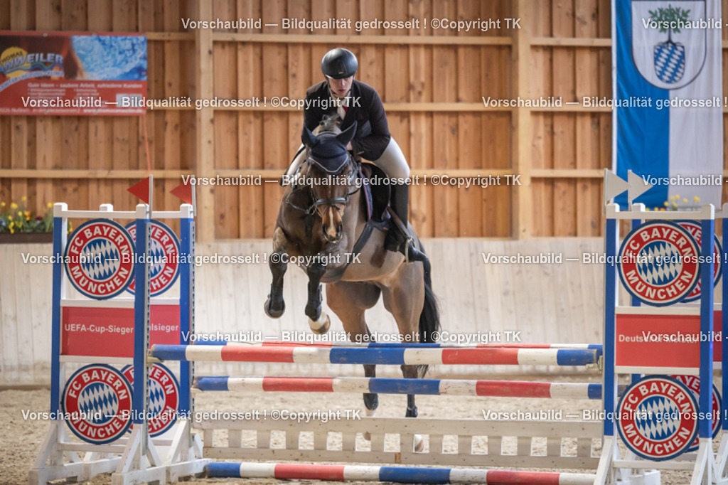 _D5A7502 | Emotionale Pferde- & People-Fotografie rund um Heidelberg, Leimen & Umgebung. Natürliche Fotos von Pferd, Mensch & Familie. Jetzt Termin sichern!