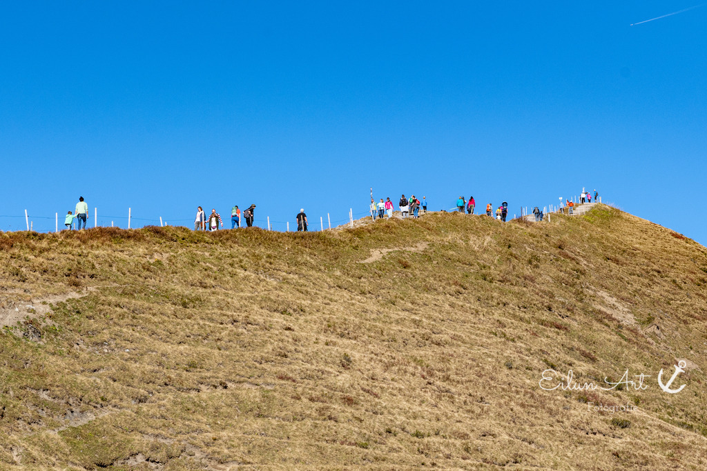 20241030-EAF_5274 | Eilun-Art-Fotografie Levke Martens, ihre Fotografin für Immobilien- und Landschaftsfotografie auf Föhr, Föhrer Motive als Poster, Leinwand, hinter Acrylglas oder stelle dir deinen eigenen Monatskalender zusammen, mit nur einem Klick