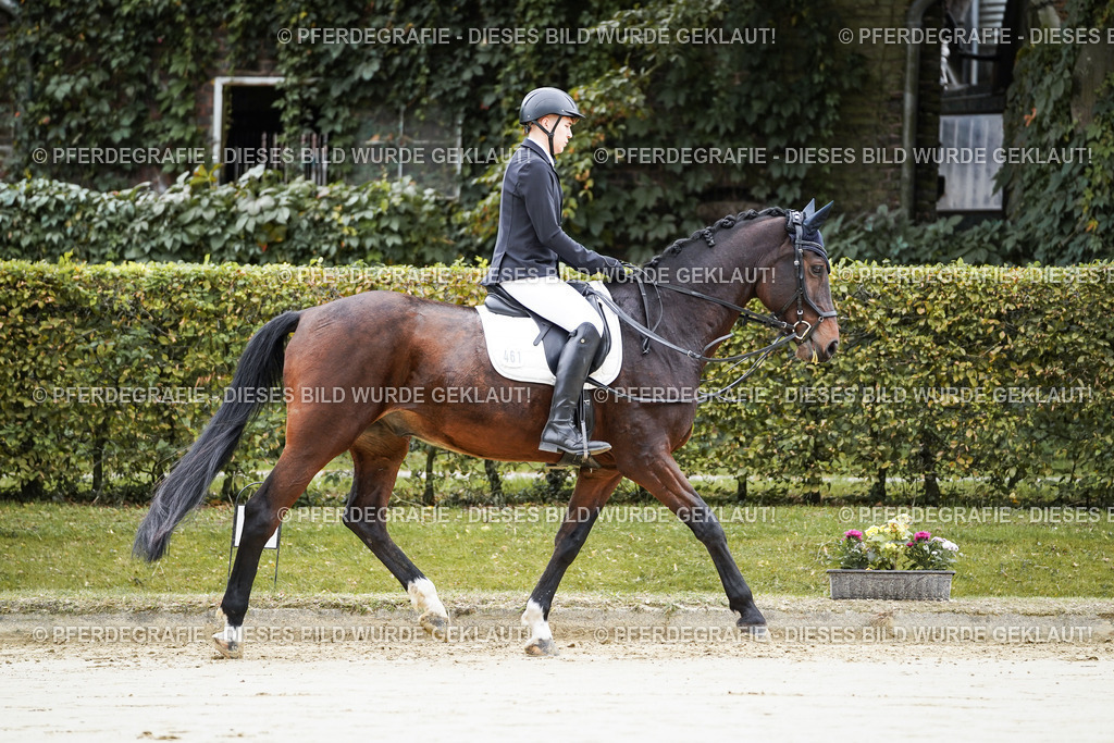 DSC04497 | Pferdegrafie