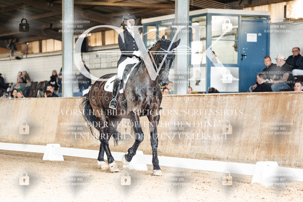 CK902151 | Turnierfotografie Pferdefotografie Trier Rheinland-Pfalz Pferdesport Reitsport Tierfotografie Sportfotografie Pferdevideo Pferdevideografie Equestrianvideography equestrianphotography  - Realisiert mit Pictrs.com