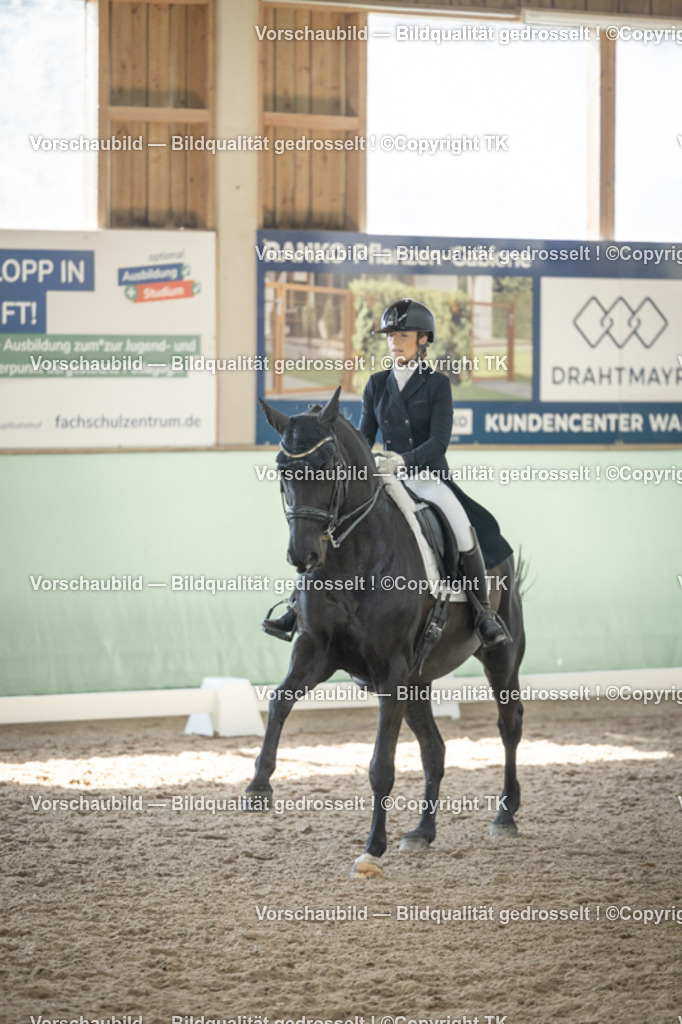 _D5A1709 | Emotionale Pferde- & People-Fotografie rund um Heidelberg, Leimen & Umgebung. Natürliche Fotos von Pferd, Mensch & Familie. Jetzt Termin sichern!