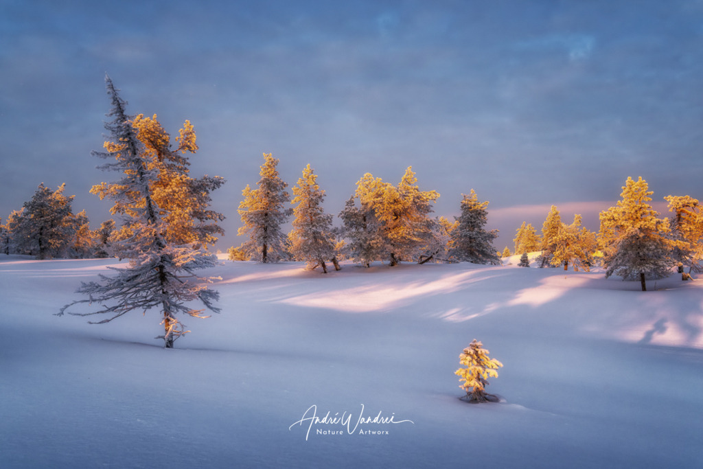 Stillleben im Schnee | Andre Wandrei - Nature Artworx - Realisiert mit Pictrs.com