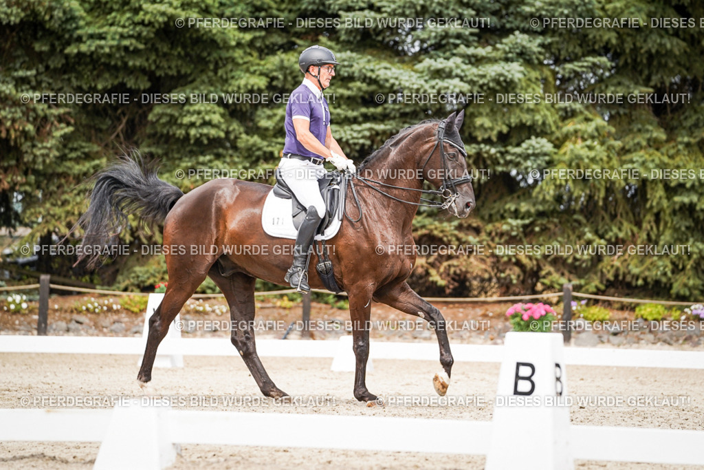 DSC06195 | Pferdegrafie