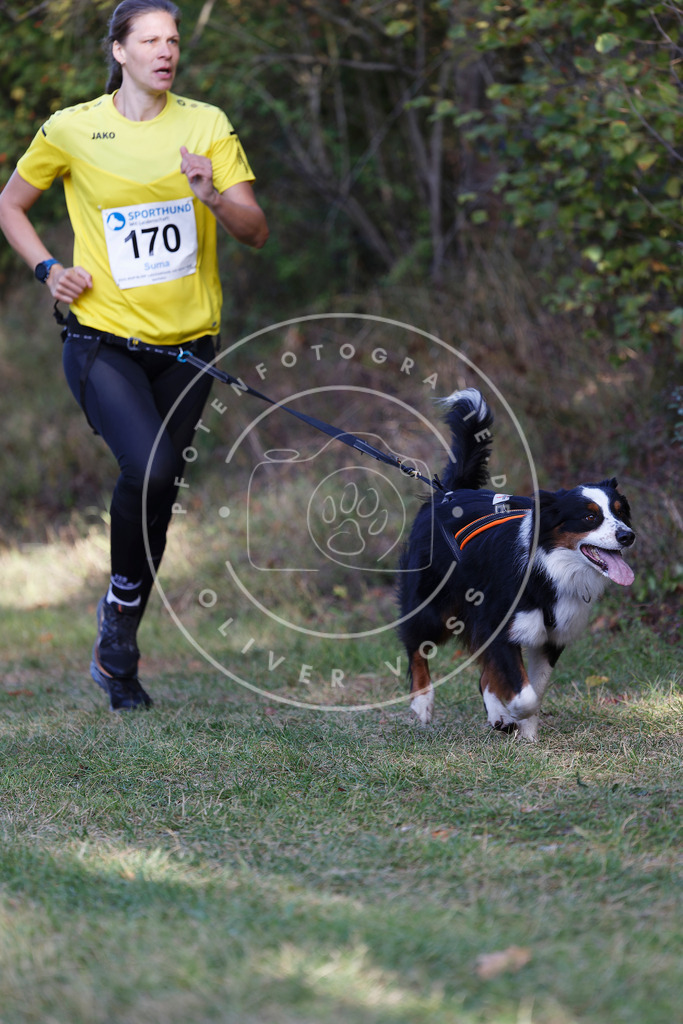 0L8A5339 | Hundefotografie, Tierfotograf, Pfotenfotografie, Fotoshooting Hund, Hunde Portrait, Hundesport, Hundeportraits, Heideshooting, Hunde, Sportfotograf, Hundefotograf, Turnierhundsport, THS,  - Realisiert mit Pictrs.com