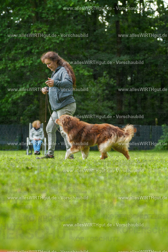 @allesWIRTHgut_Tierfotografie - www.allesWIRTHgut.de - 7R505091 | Professionelle Tierfotografie in Mönchengladbach von Daniel Wirth (allesWIRTHgut). Liebevolle & natürliche Bilder von Hunden & Katzen für unvergessliche Erinnerungen.