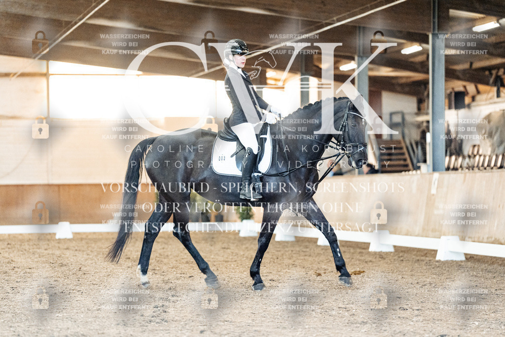 CK906949 | Turnierfotografie Pferdefotografie Trier Rheinland-Pfalz Pferdesport Reitsport Tierfotografie Sportfotografie Pferdevideo Pferdevideografie Equestrianvideography equestrianphotography  - Realized with Pictrs.com