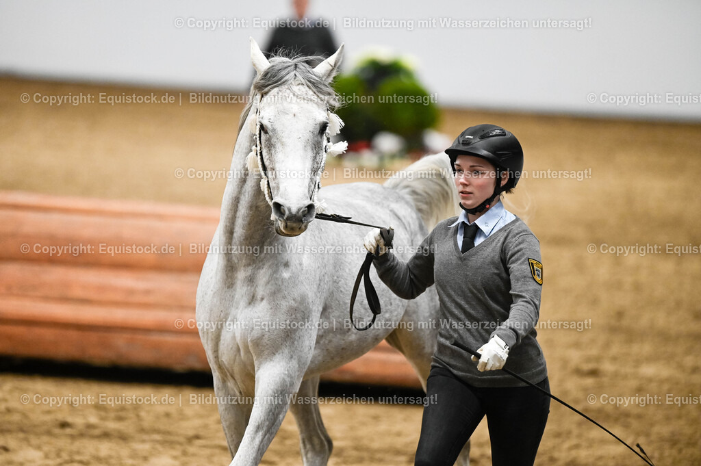 20260307_Hengstvorstellung-Marbach_0410 | equistock