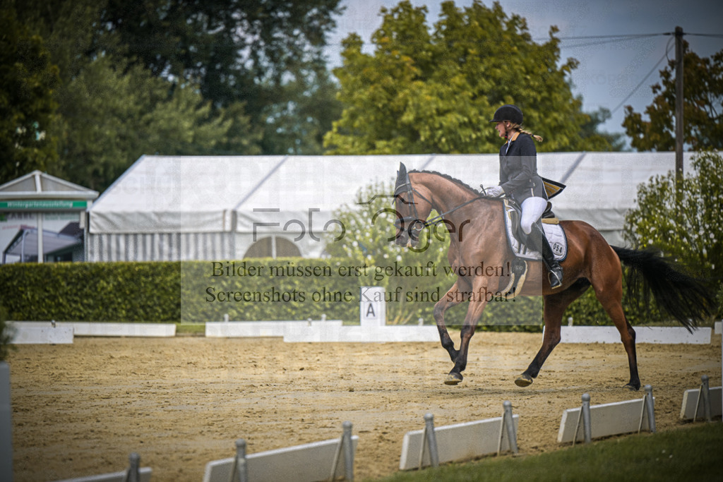 DOS_2016 | Entdecke hochwertige Reitturnierfotos von Foto Oger. Professionell, emotional und authentisch – jetzt Lieblingsmomente im Shop bestellen.Deutschlandweite Turnierfotografie. - Realisiert mit Pictrs.com
