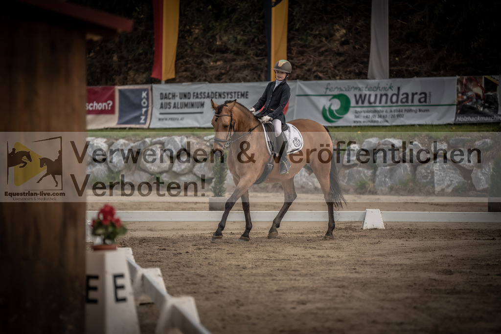 DSC_8405 | equestrian-live-com