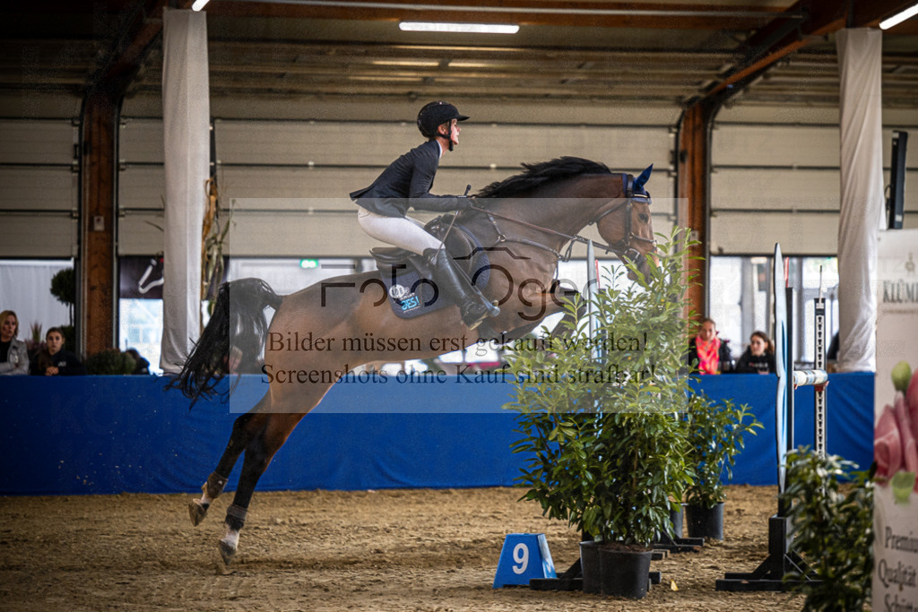 DOS_0315 | Entdecke hochwertige Reitturnierfotos von Foto Oger. Professionell, emotional und authentisch – jetzt Lieblingsmomente im Shop bestellen.Deutschlandweite Turnierfotografie. - Realisiert mit Pictrs.com
