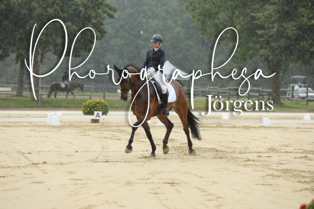 IMG_4753 | photographesa-joergens - Realisiert mit Pictrs.com