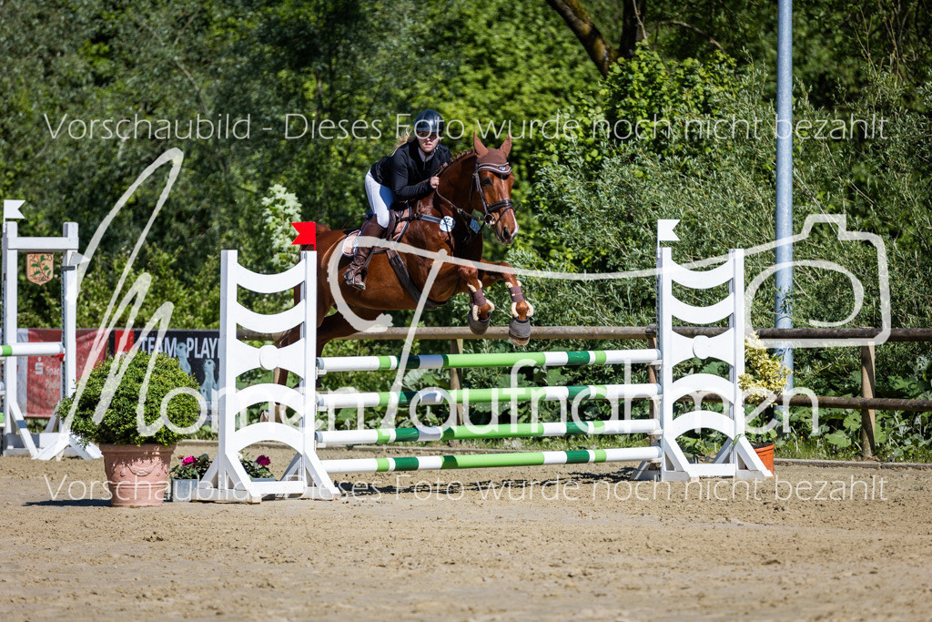 Donop24-A2Spr-137 | MomenTaufnahmen Pferdesportfotos