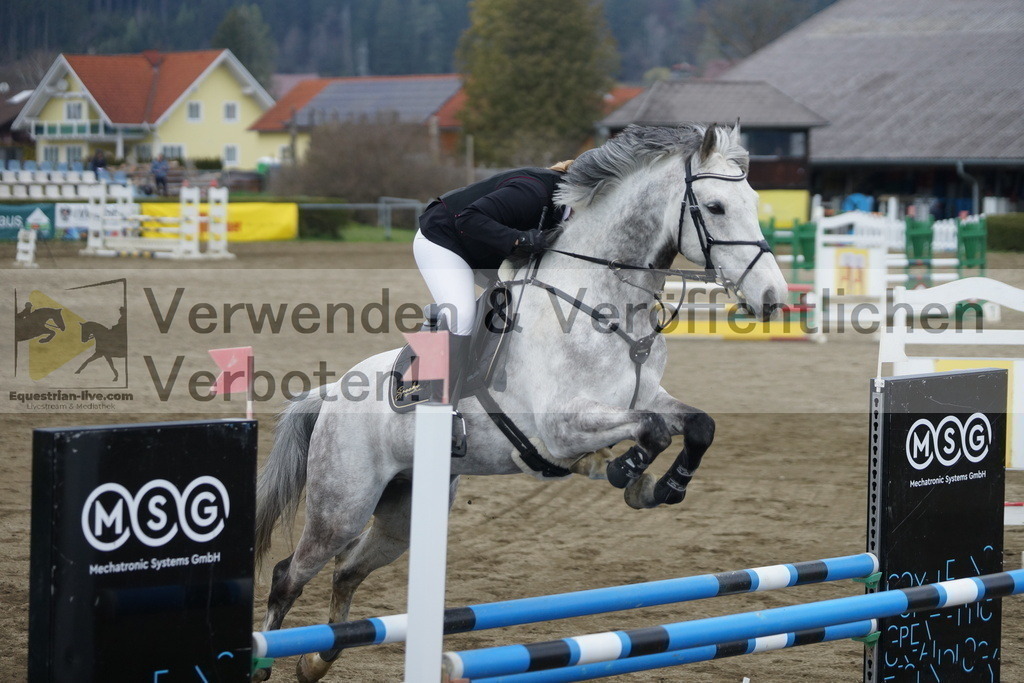 DSC01149 | equestrian-live-com