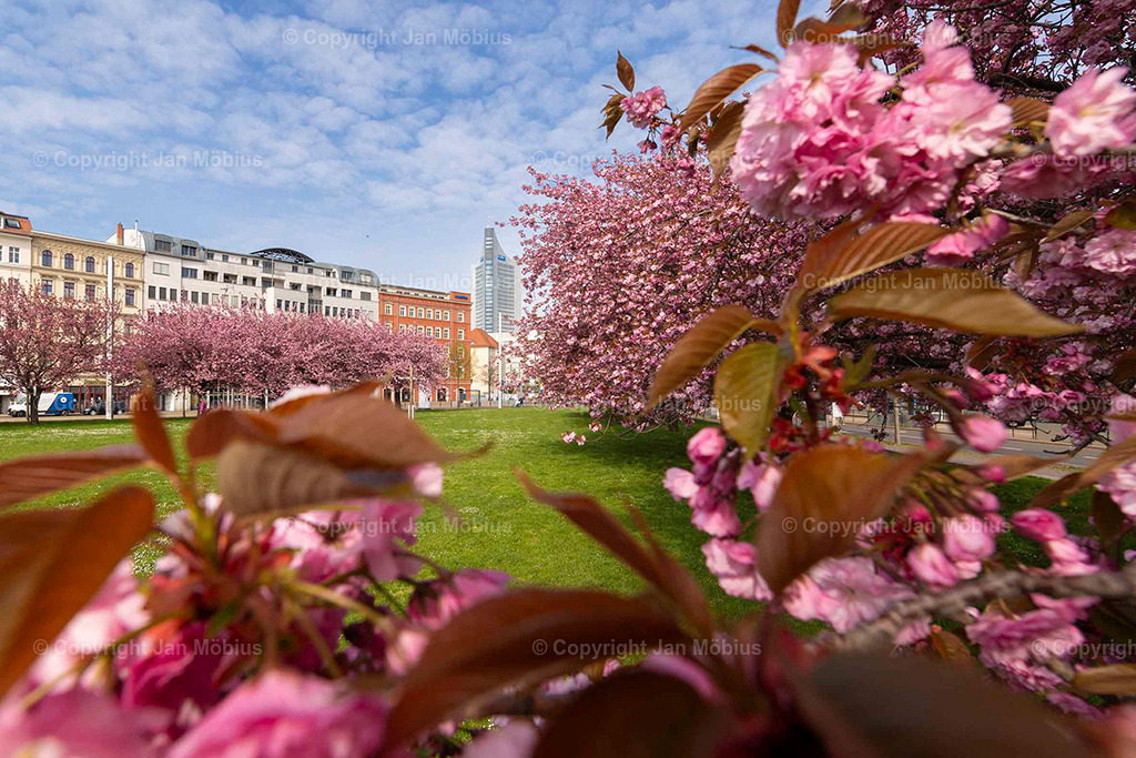 _M5D1856 | Leipzig Wandbilder Drucke Prints Leinwand Stadtmotive Leipzig Fotosdruck Kunstdrucke Bilder Leipzig Stadtansichten Acrylglasbilder Leipzig Wanddeko Fine Art Prints Wandbilder Büro Leipzig Bilder Praxis Zuhause Bilderdruck Poster Posterlounge Kunstdrucke - Realisiert mit Pictrs.com