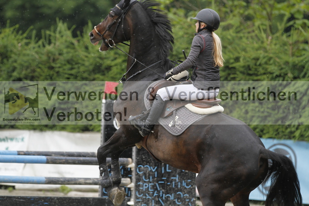 _MG_1664 | equestrian-live-com