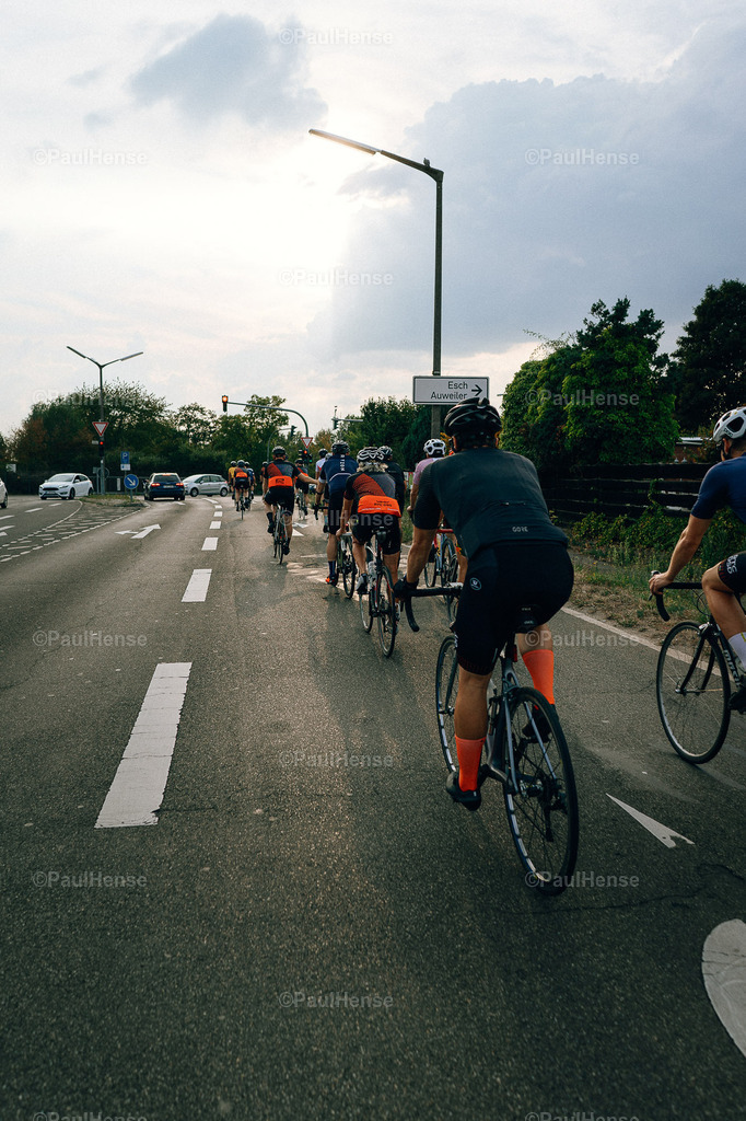 20220816_0012_PaulHense_DSC05768 | paulhense - Realisiert mit Pictrs.com