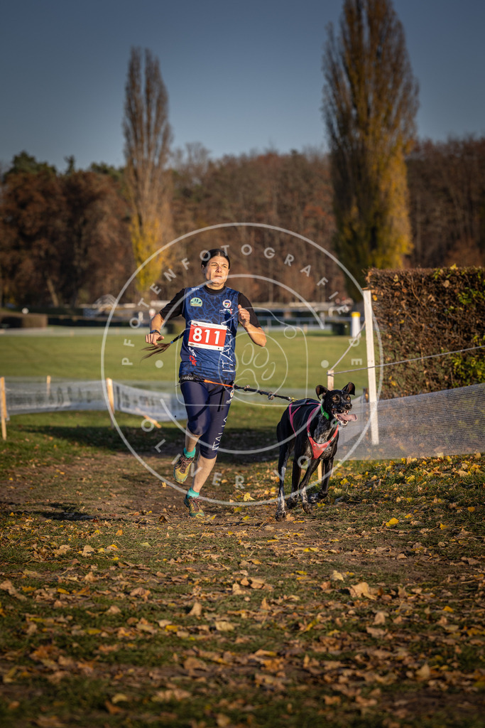 CaniXpix_DV3A3054 | Hundefotografie, Tierfotograf, Pfotenfotografie, Fotoshooting Hund, Hunde Portrait, Hundesport, Hundeportraits, Heideshooting, Hunde, Sportfotograf, Hundefotograf, Turnierhundsport, THS,  - Realisiert mit Pictrs.com