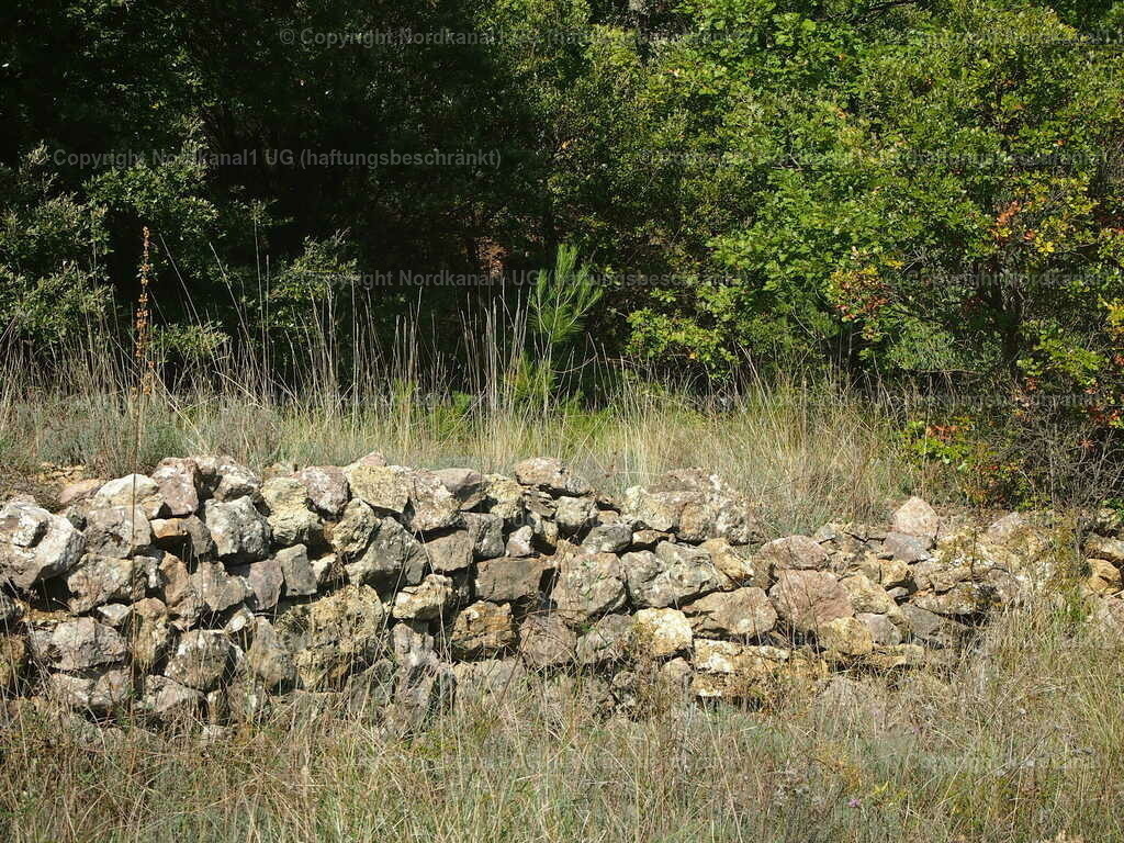 PA272115 | photograph1 - Realisiert mit Pictrs.com