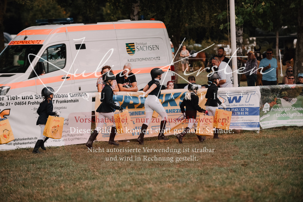 DSC_6399 | Pferde- und Turnierfotografie in Westsachsen. Pferdeportraits, Auftragszeichnungen und intuitive Kunst.