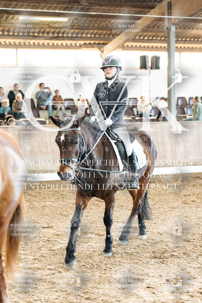 CK900373 | Turnierfotografie Pferdefotografie Trier Rheinland-Pfalz Pferdesport Reitsport Tierfotografie Sportfotografie Pferdevideo Pferdevideografie Equestrianvideography equestrianphotography  - Realized with Pictrs.com