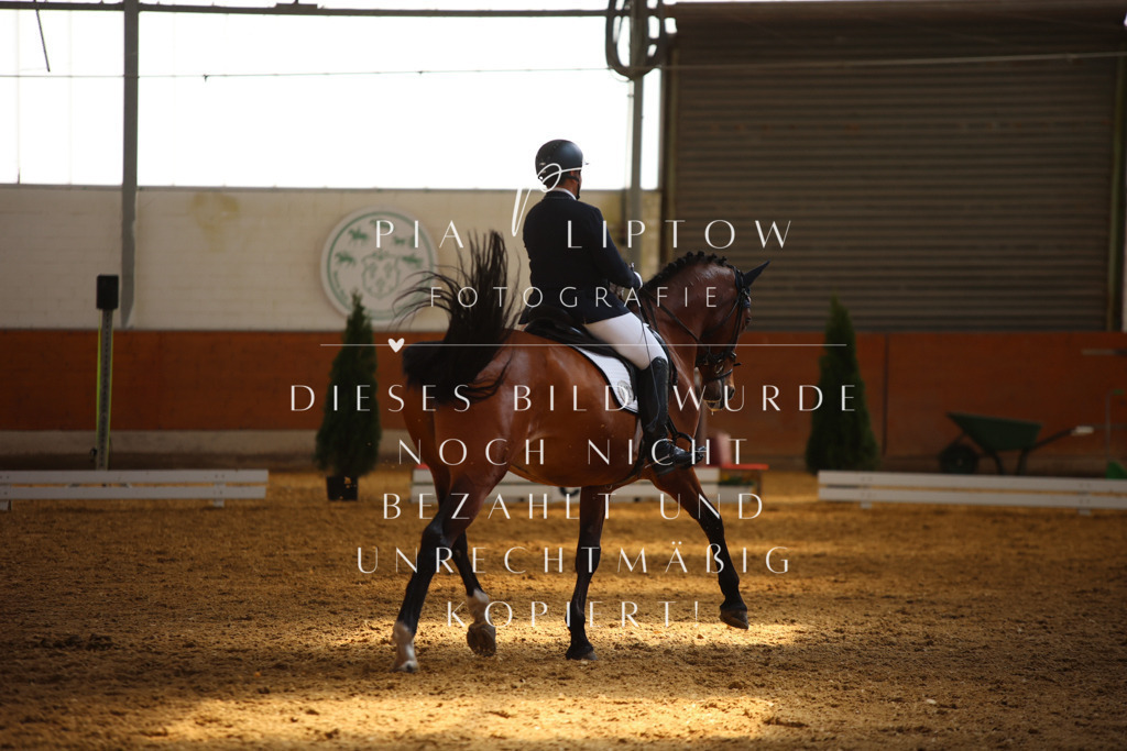 IMGT7800 | pl-fotografie