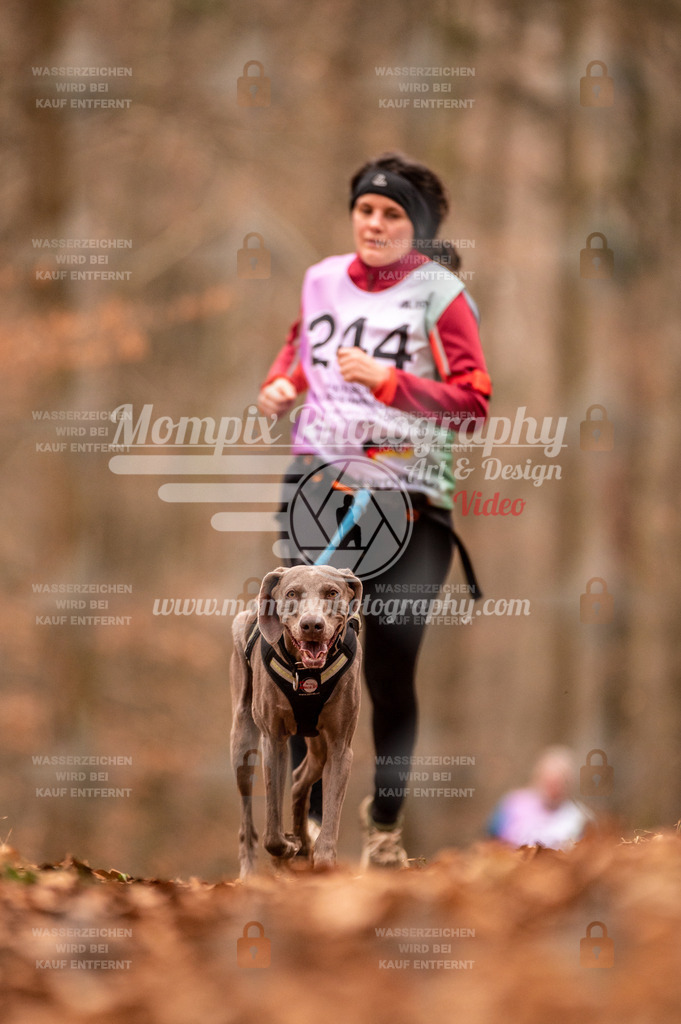 AKM_ST_2023_Son_Run-124 | PayLife