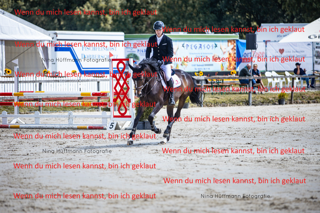BK1A5062 | Turnierbilder Turnierfotos Nina Hüffmann Turnierfotografie Pferdefotografie Tierzeichnung Haustierzeichnung Pferdezeichnung Hundezeichnung Videograf  - Realisiert mit Pictrs.com