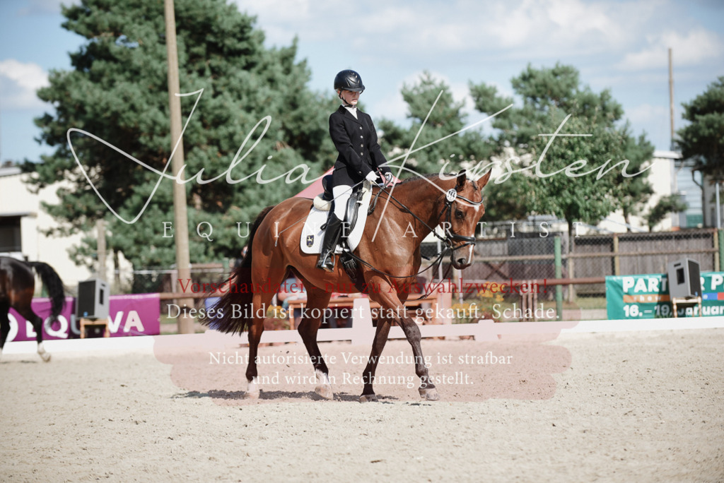 DSC_9904 | Pferde- und Turnierfotografie in Westsachsen. Pferdeportraits, Auftragszeichnungen und intuitive Kunst.