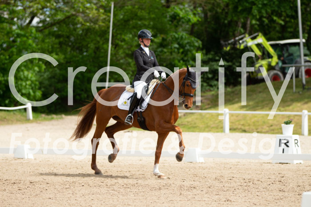 IMG_6800 | Creatify Fotografie