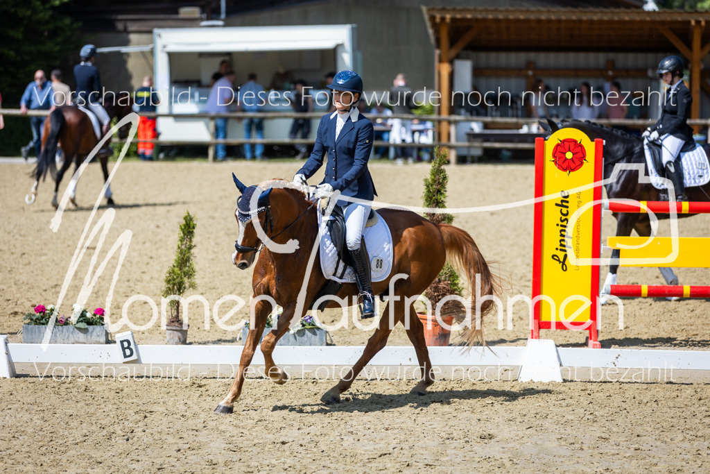 Donop24-L-Dre-084 | MomenTaufnahmen Pferdesportfotos