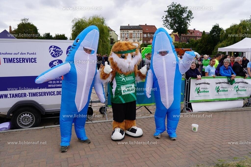 DSC05191 | Lichterlauf  - Realisiert mit Pictrs.com