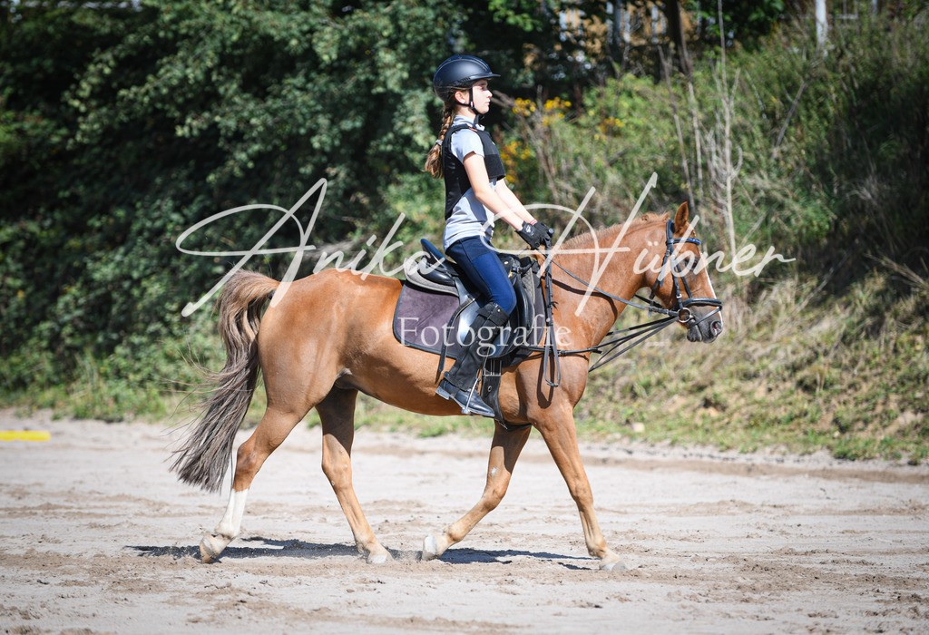 DSC_0183 | anikahuebner - Realisiert mit Pictrs.com